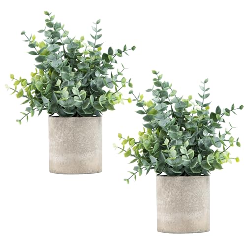 Bathroom Decor for Shelves