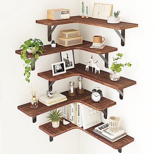 Corner Wall Decor for Living Room