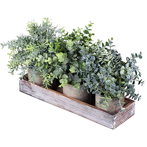 Decorations for Kitchen Countertops