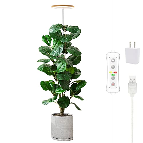 Decorative Grow Lights for Indoor Plants