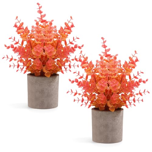 Fall Decor for Bathrooms