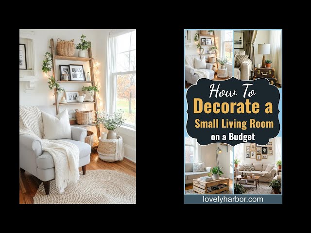 How Can I Decorate My Living Room on a Budget