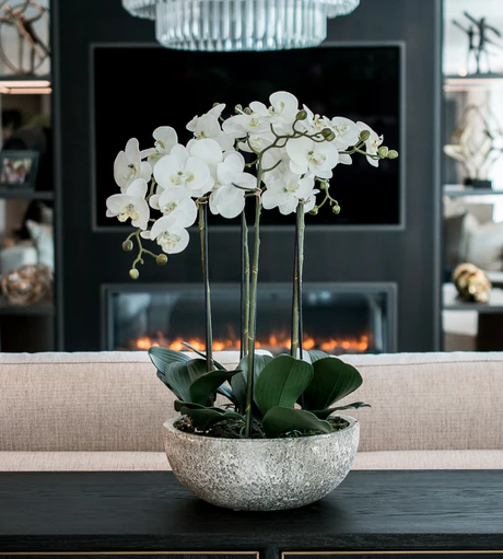 How Do You Decorate Orchids to Vase With Lights
