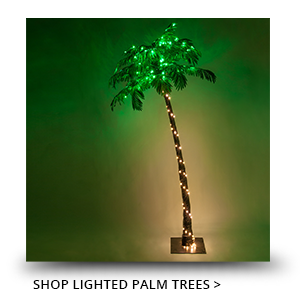 How to Decorate a Palm Tree With Christmas Lights
