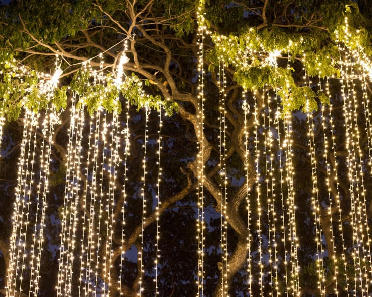 How to Decorate a Tree With Lights Outside