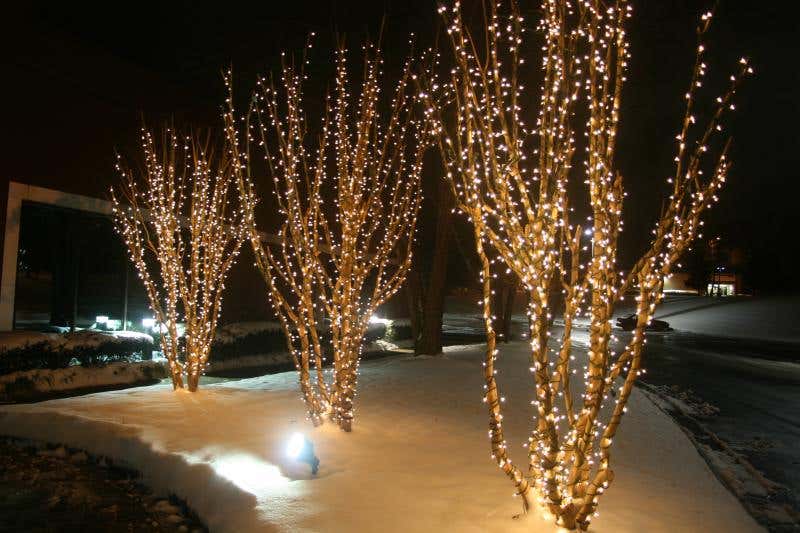 How to Decorate Crepe Myrtles With Christmas Lights