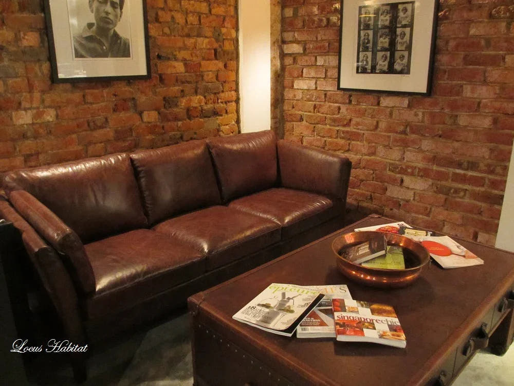 How to Decorate Living Room With Brown Leather Furniture