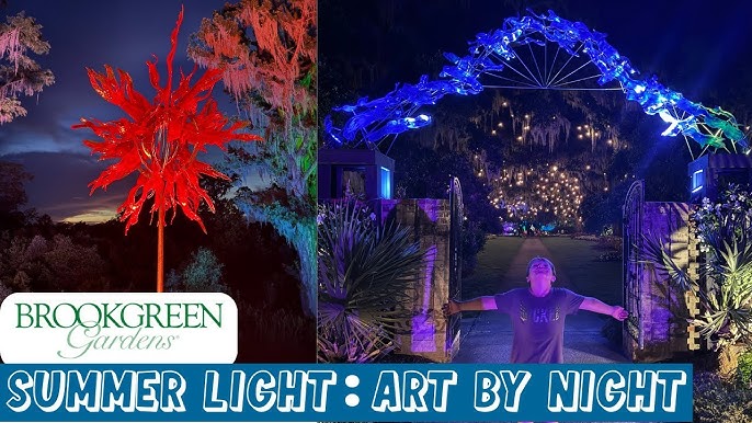 How to Decorate With Lights Outside Like Brookgreen Gardens