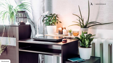 How to Decorate Your New Office Zen