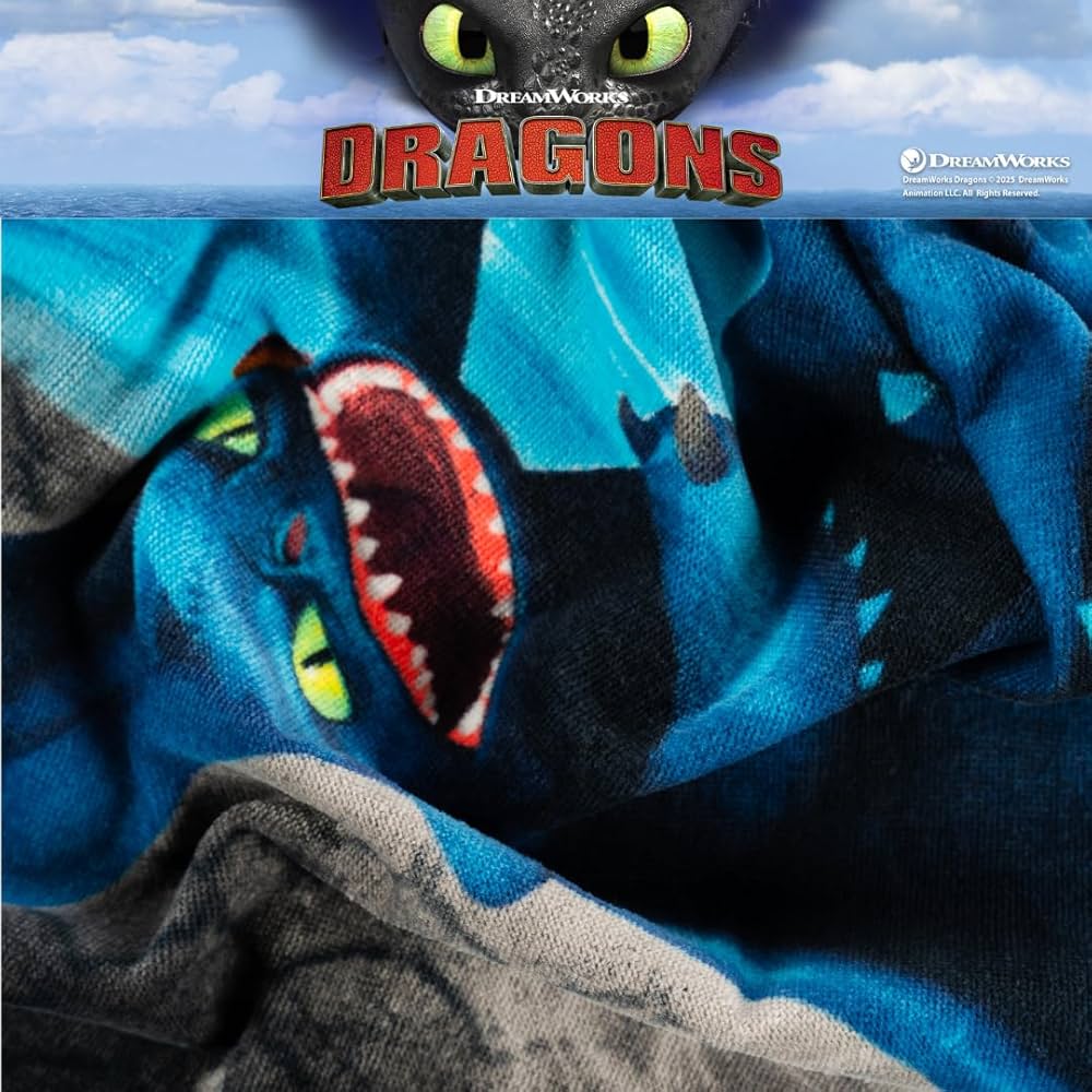 How to Train Your Dragon Bathroom Decor