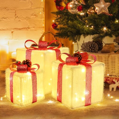 Lighted Holiday Outdoor Decorations