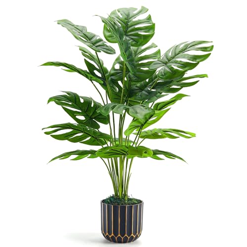 Plants for Living Room Decor