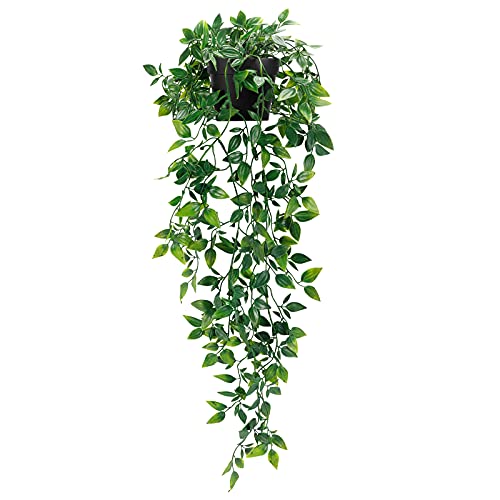 Shelf Decor for Office