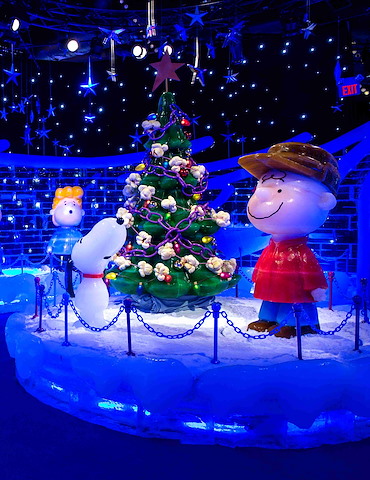 What Did Snoopy Decorate to Enter a Lights Display Contest