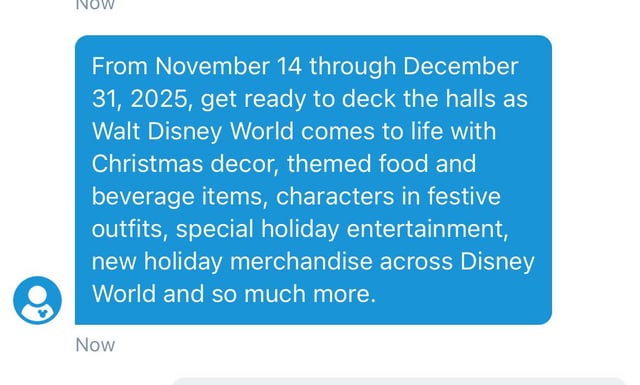 When Does Disney Remove Holiday Decorations