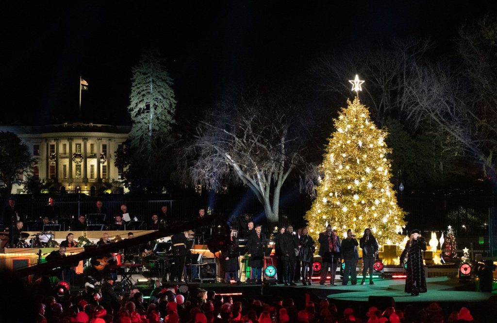 Which American Holiday Involves Decorating Evergreen Trees