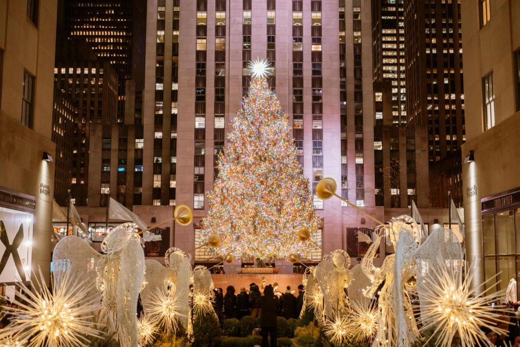 Which Trees are Decorated With Gifts And Lights at Christmas